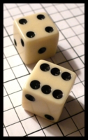 Dice : Dice - 6D - SKA Ivory with Black Pips - SK Collection buy Nov 2010